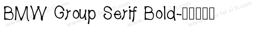 BMW Group Serif Bold字体转换